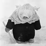 Этот снимок был сделан в 1961 году 22-летним фотографом Владимиром Лагранжем.webp